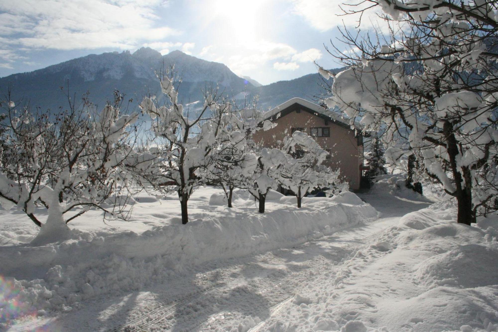 Enzianbrenner Jenig Exterior foto