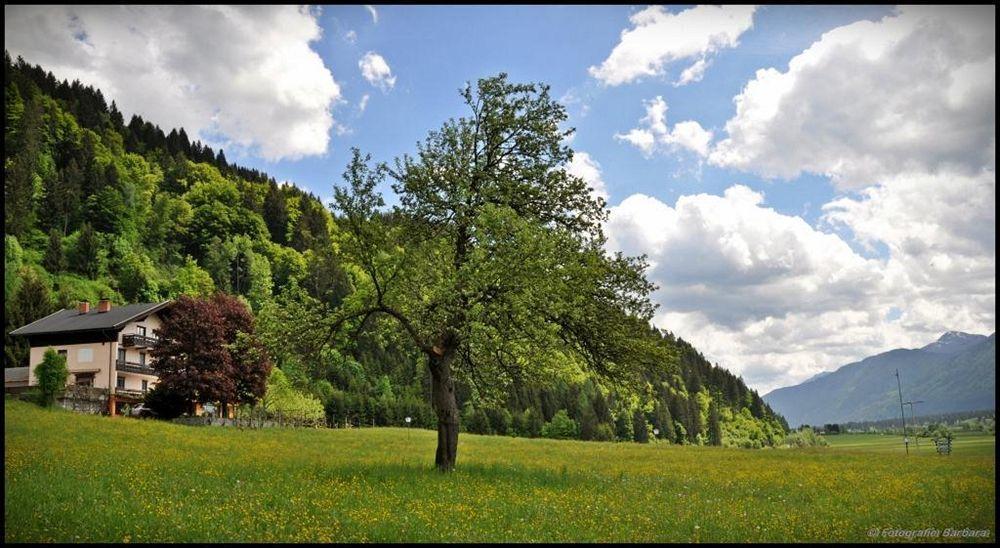 Enzianbrenner Jenig Exterior foto